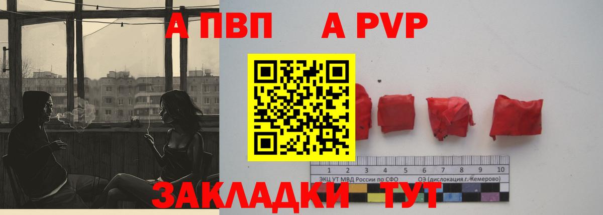 A PVP СК КРИС Владикавказ