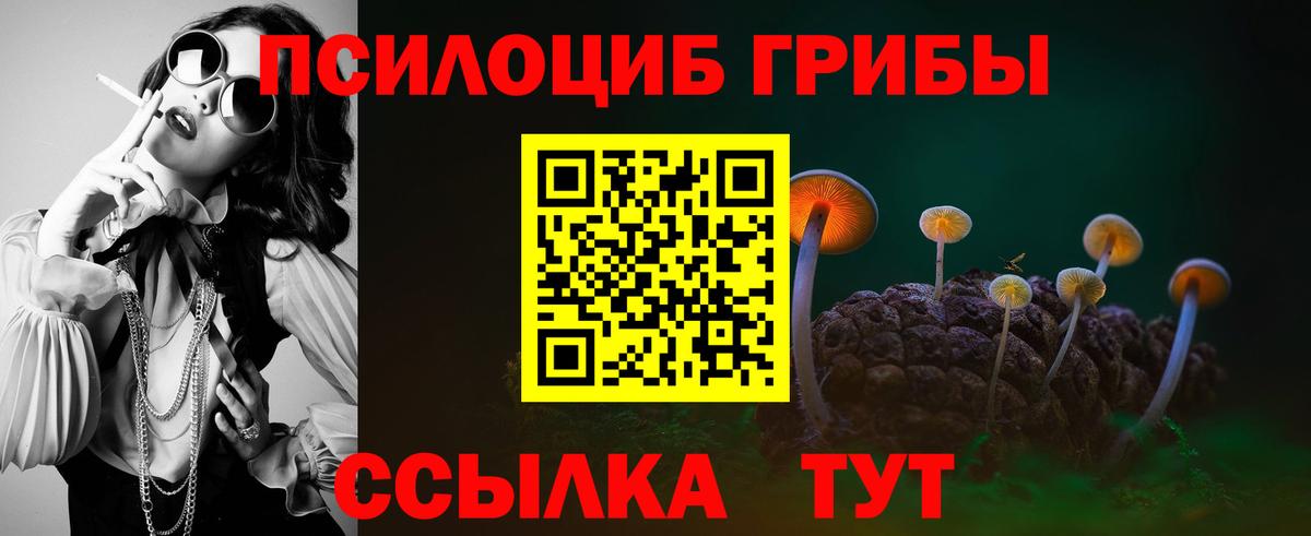 Галлюциногенные грибы мицелий  Вход с VPN  Владикавказ 
